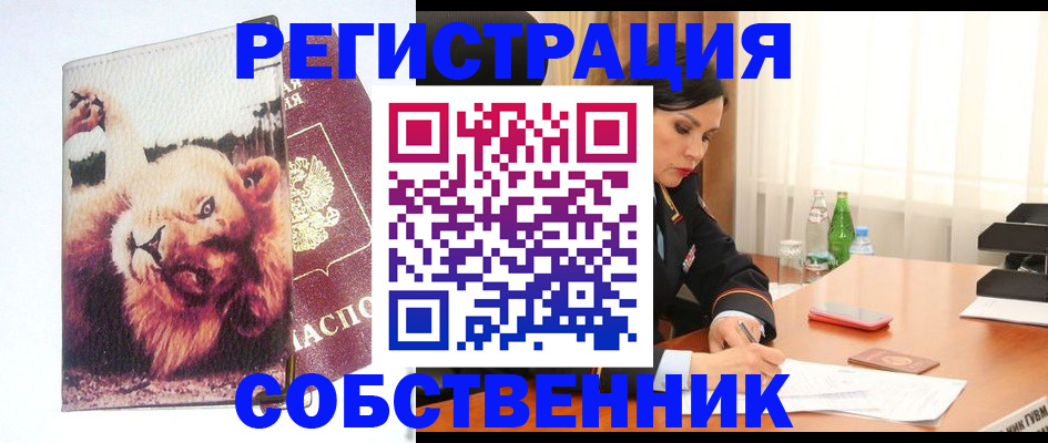 прописка от собственника в Копейске